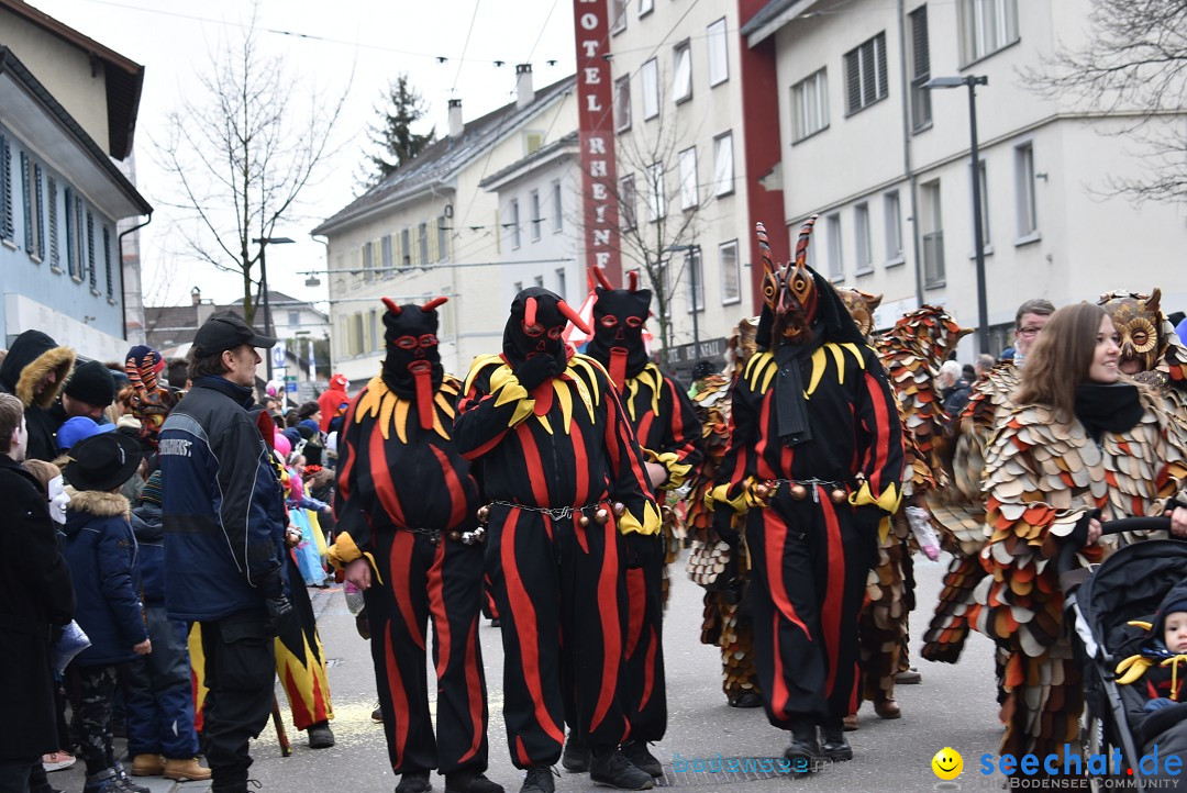 Fasnachtsumzug: Neuhausen - Schweiz, 18.02.2018