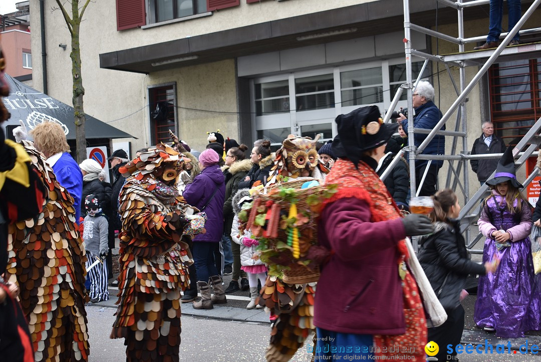 Fasnachtsumzug: Neuhausen - Schweiz, 18.02.2018