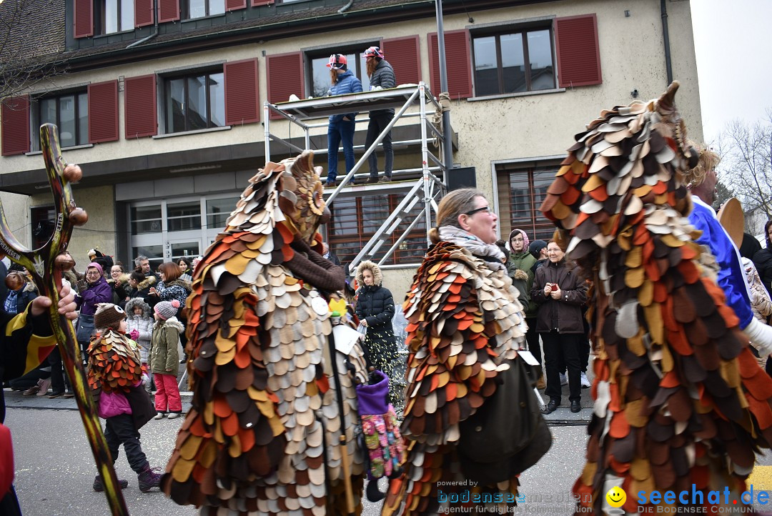 Fasnachtsumzug: Neuhausen - Schweiz, 18.02.2018