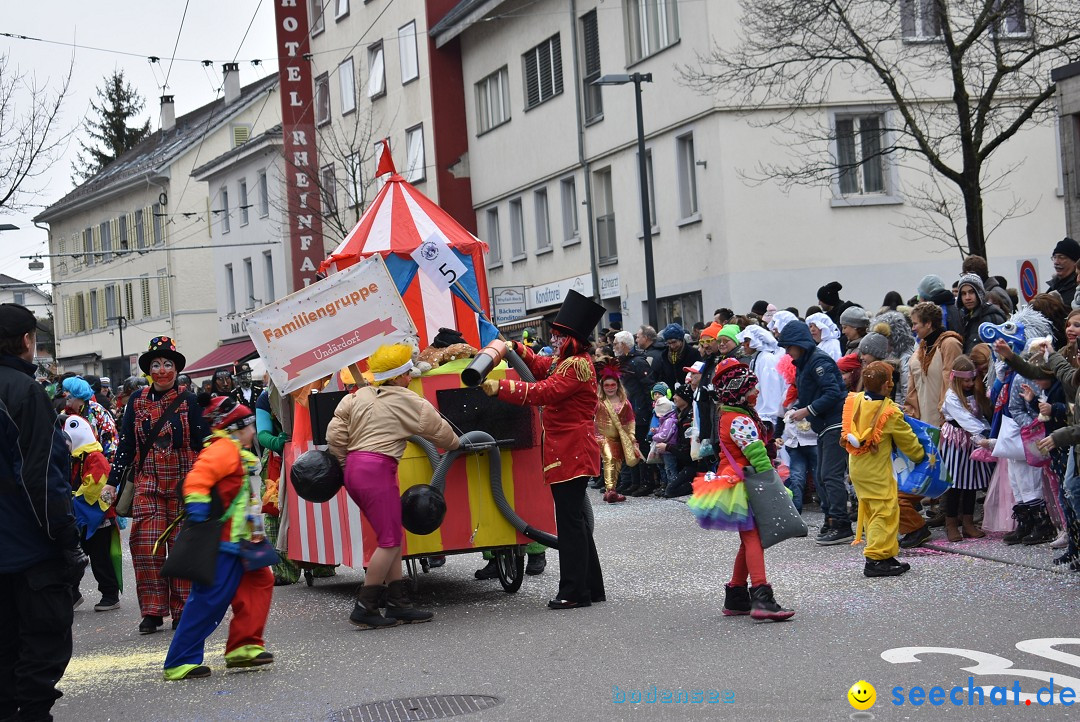 Fasnachtsumzug: Neuhausen - Schweiz, 18.02.2018