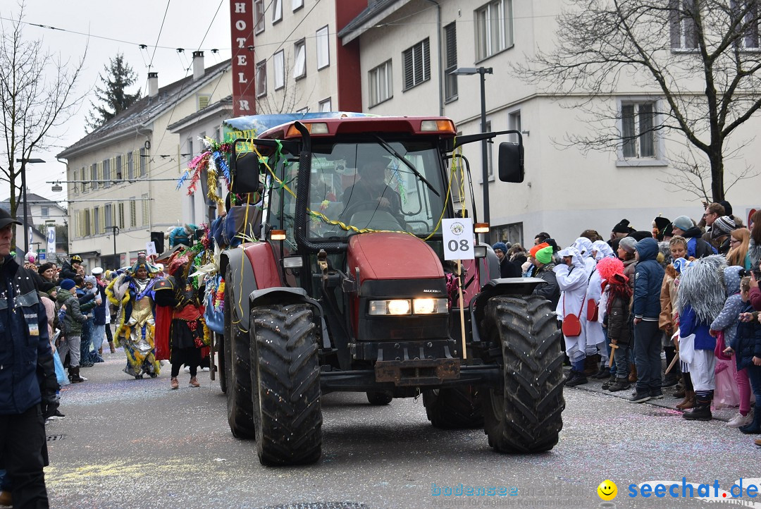 Fasnachtsumzug: Neuhausen - Schweiz, 18.02.2018