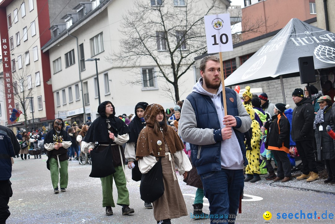 Fasnachtsumzug: Neuhausen - Schweiz, 18.02.2018