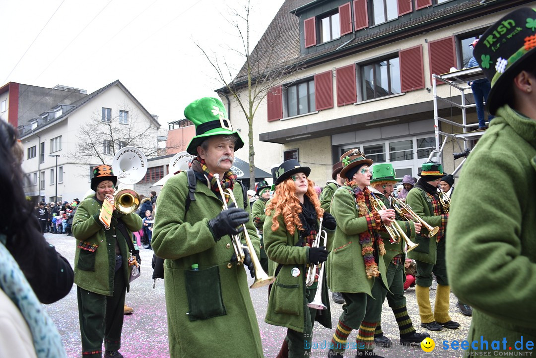 Fasnachtsumzug: Neuhausen - Schweiz, 18.02.2018