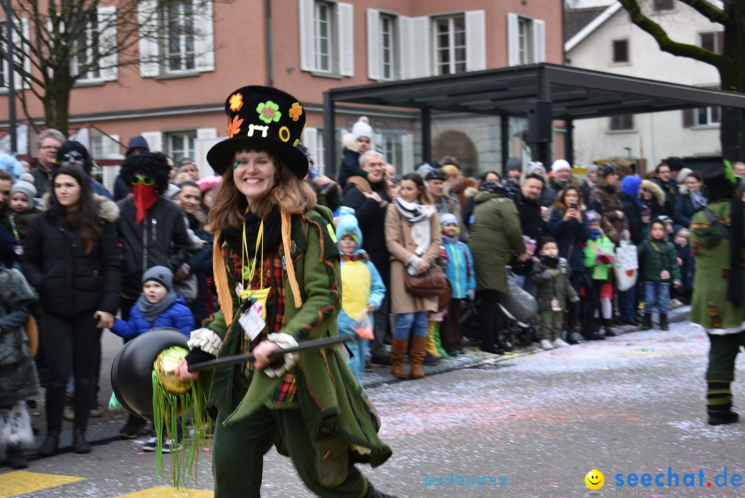 Fasnachtsumzug: Neuhausen - Schweiz, 18.02.2018