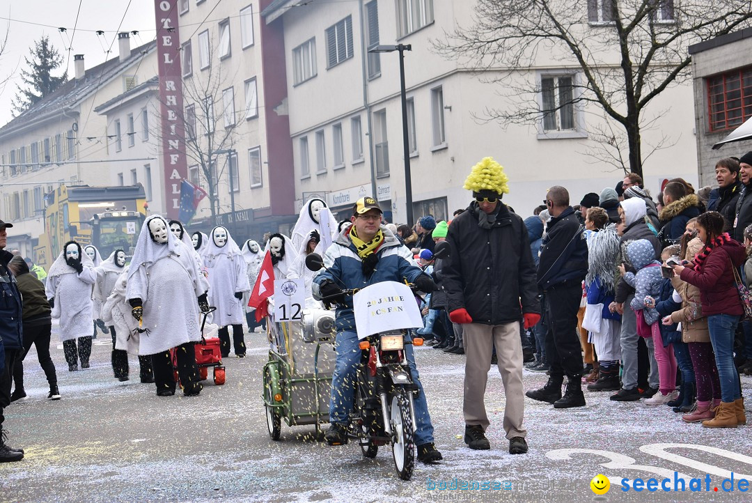 Fasnachtsumzug: Neuhausen - Schweiz, 18.02.2018