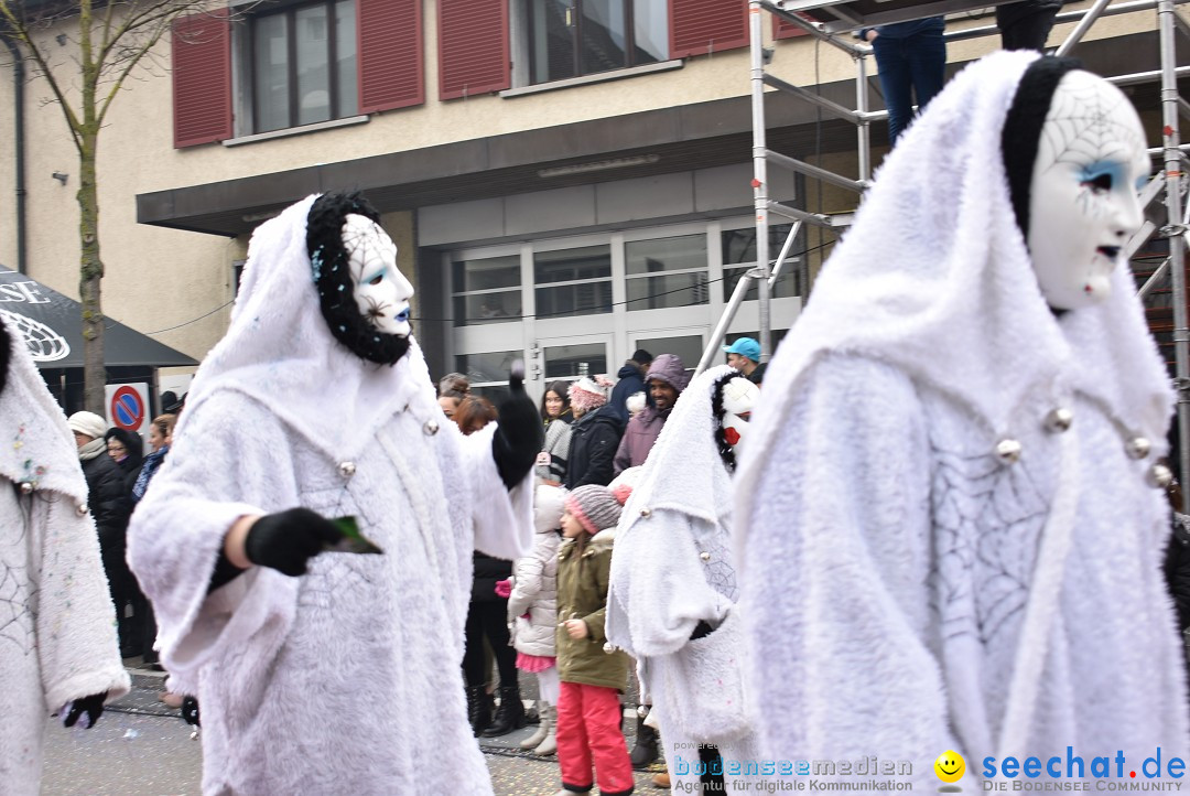 Fasnachtsumzug: Neuhausen - Schweiz, 18.02.2018