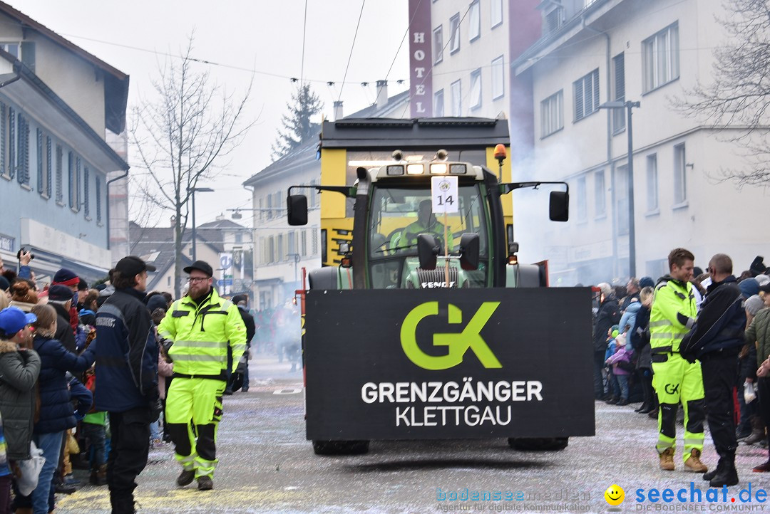 Fasnachtsumzug: Neuhausen - Schweiz, 18.02.2018