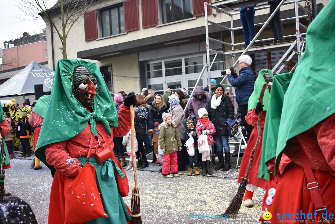 Fasnachtsumzug: Neuhausen - Schweiz, 18.02.2018