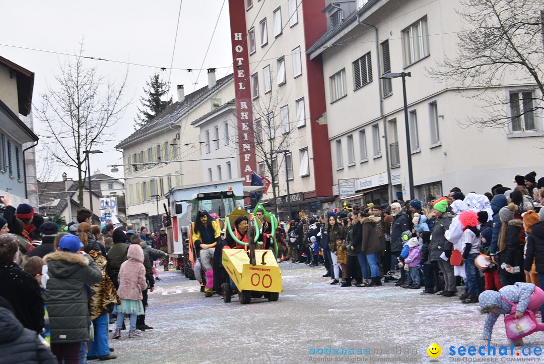 Fasnachtsumzug: Neuhausen - Schweiz, 18.02.2018