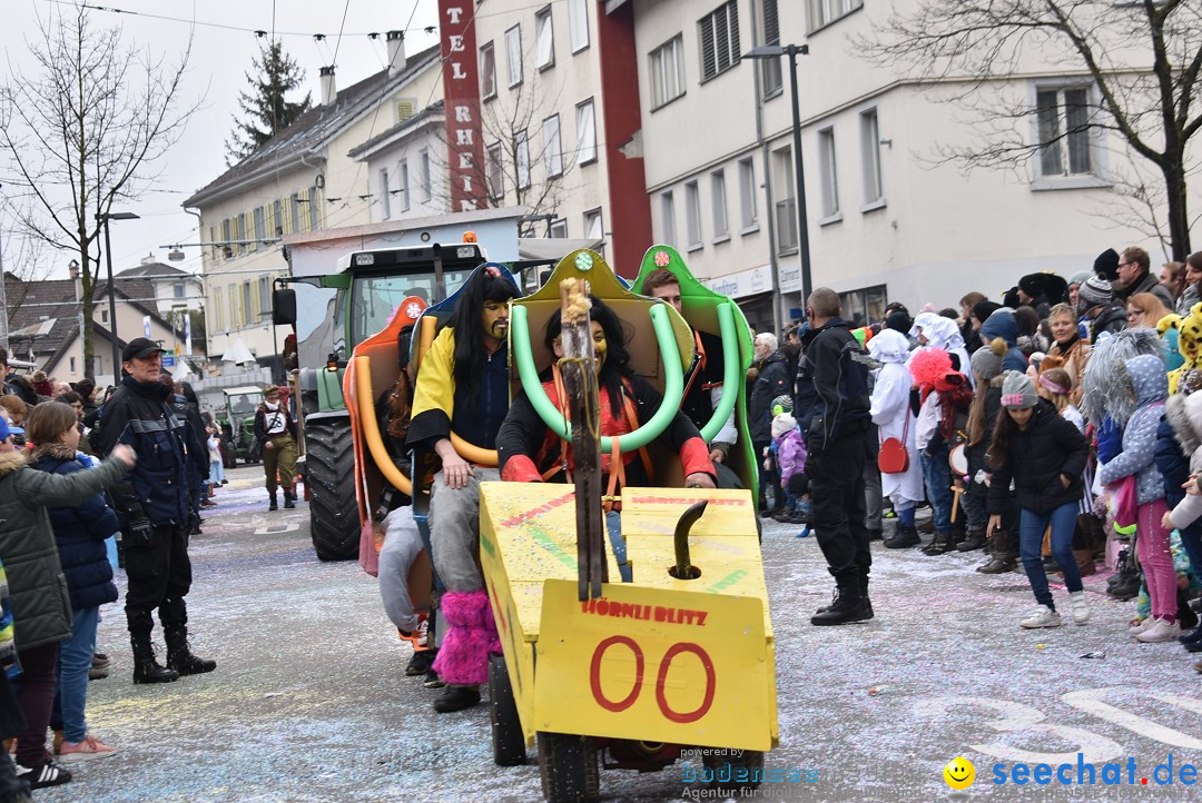 Fasnachtsumzug: Neuhausen - Schweiz, 18.02.2018