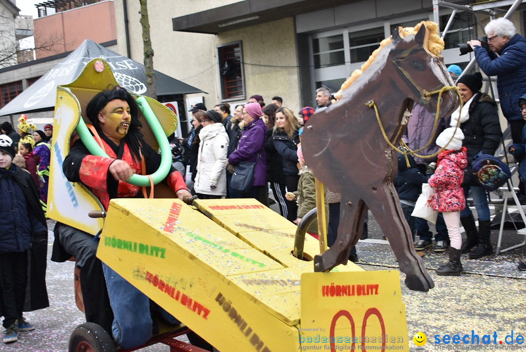 Fasnachtsumzug: Neuhausen - Schweiz, 18.02.2018