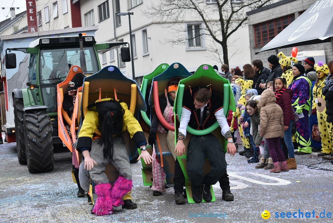 Fasnachtsumzug: Neuhausen - Schweiz, 18.02.2018