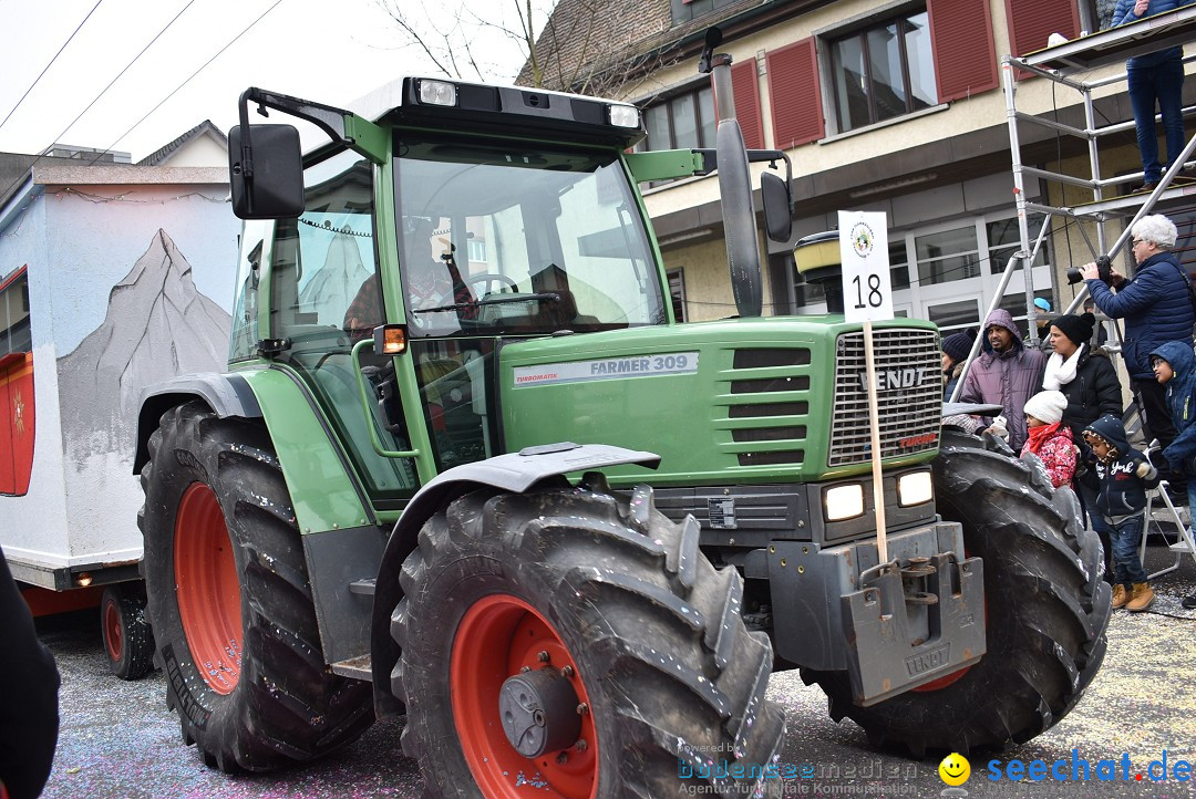 Fasnachtsumzug: Neuhausen - Schweiz, 18.02.2018