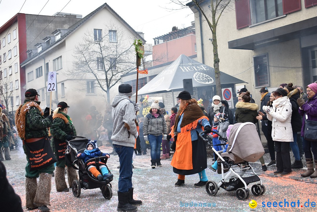 Fasnachtsumzug: Neuhausen - Schweiz, 18.02.2018