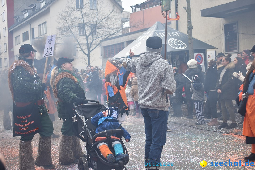 Fasnachtsumzug: Neuhausen - Schweiz, 18.02.2018