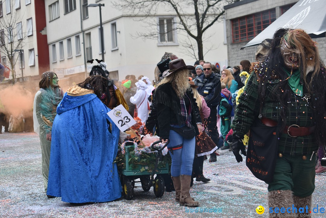 Fasnachtsumzug: Neuhausen - Schweiz, 18.02.2018