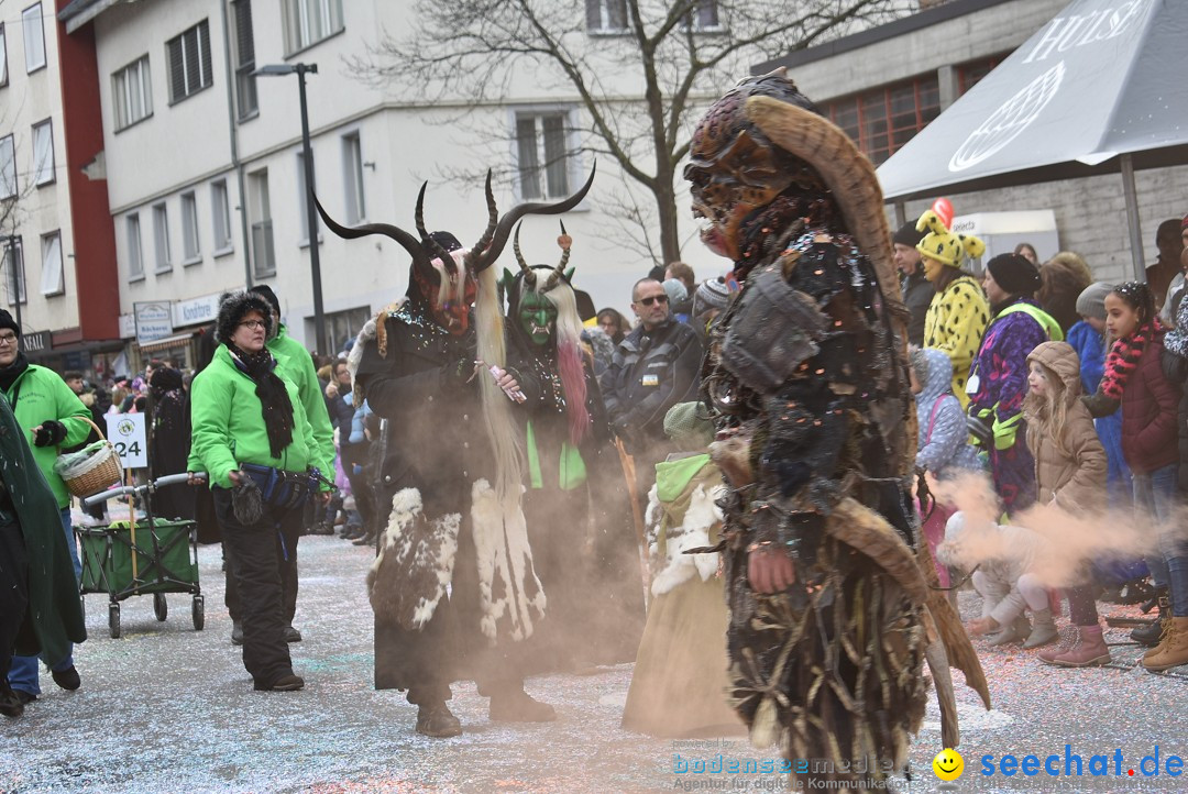 Fasnachtsumzug: Neuhausen - Schweiz, 18.02.2018