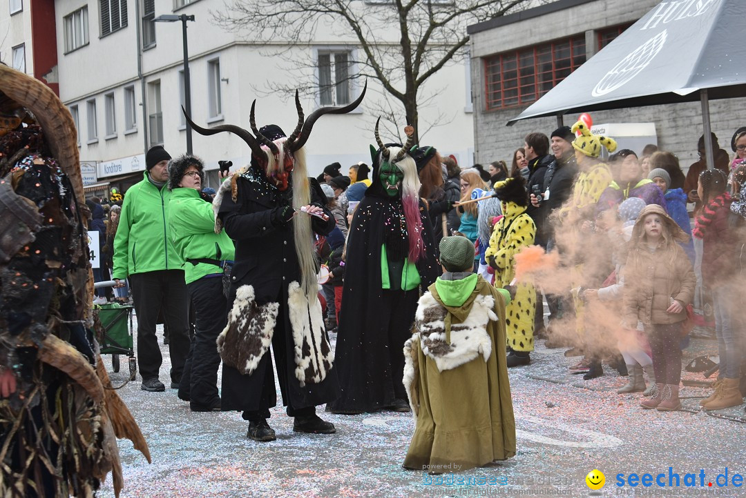 Fasnachtsumzug: Neuhausen - Schweiz, 18.02.2018