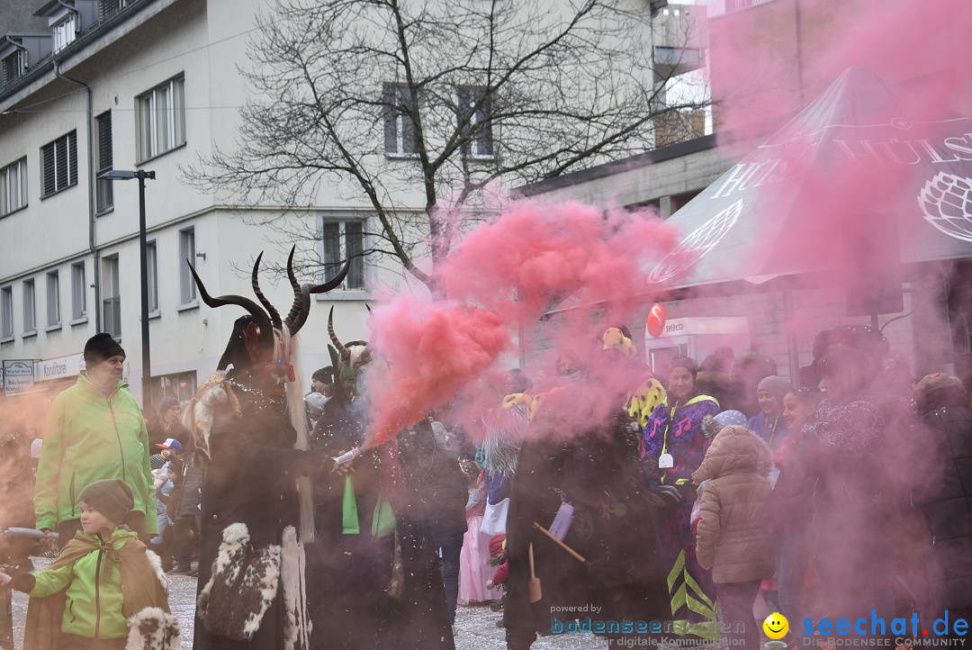 Fasnachtsumzug: Neuhausen - Schweiz, 18.02.2018