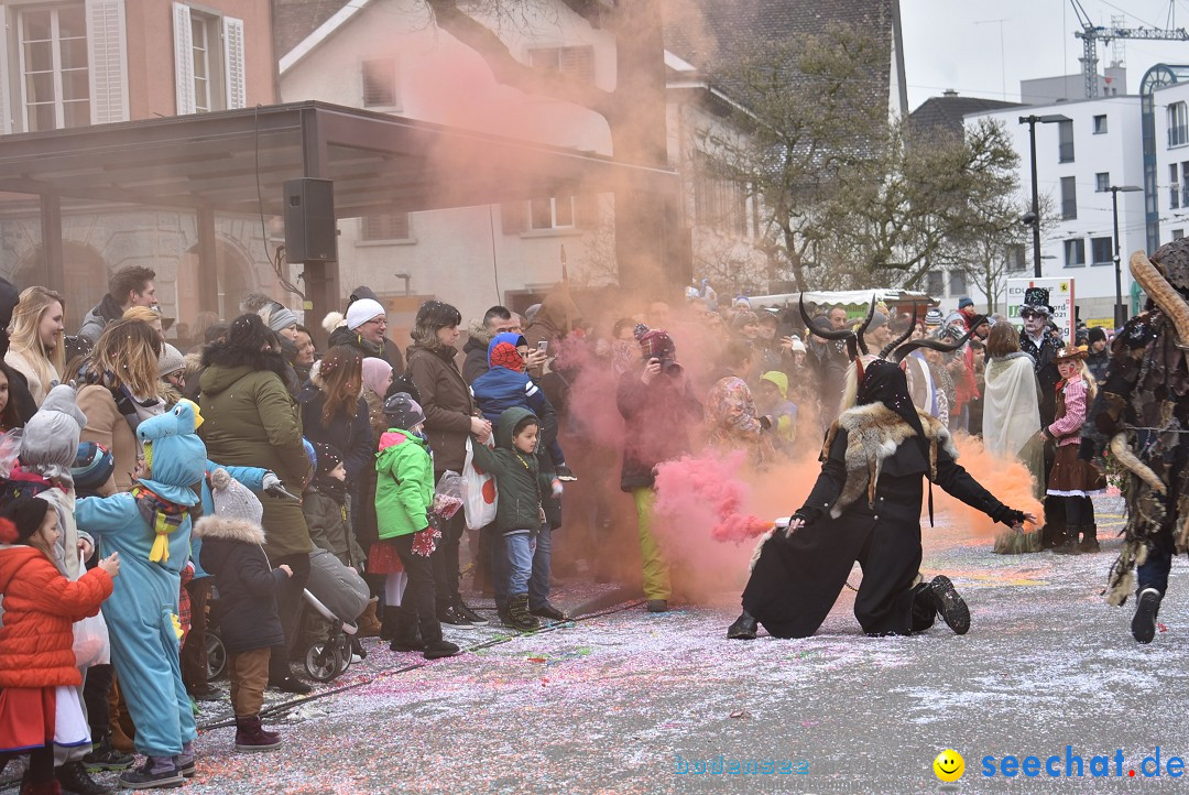 Fasnachtsumzug: Neuhausen - Schweiz, 18.02.2018