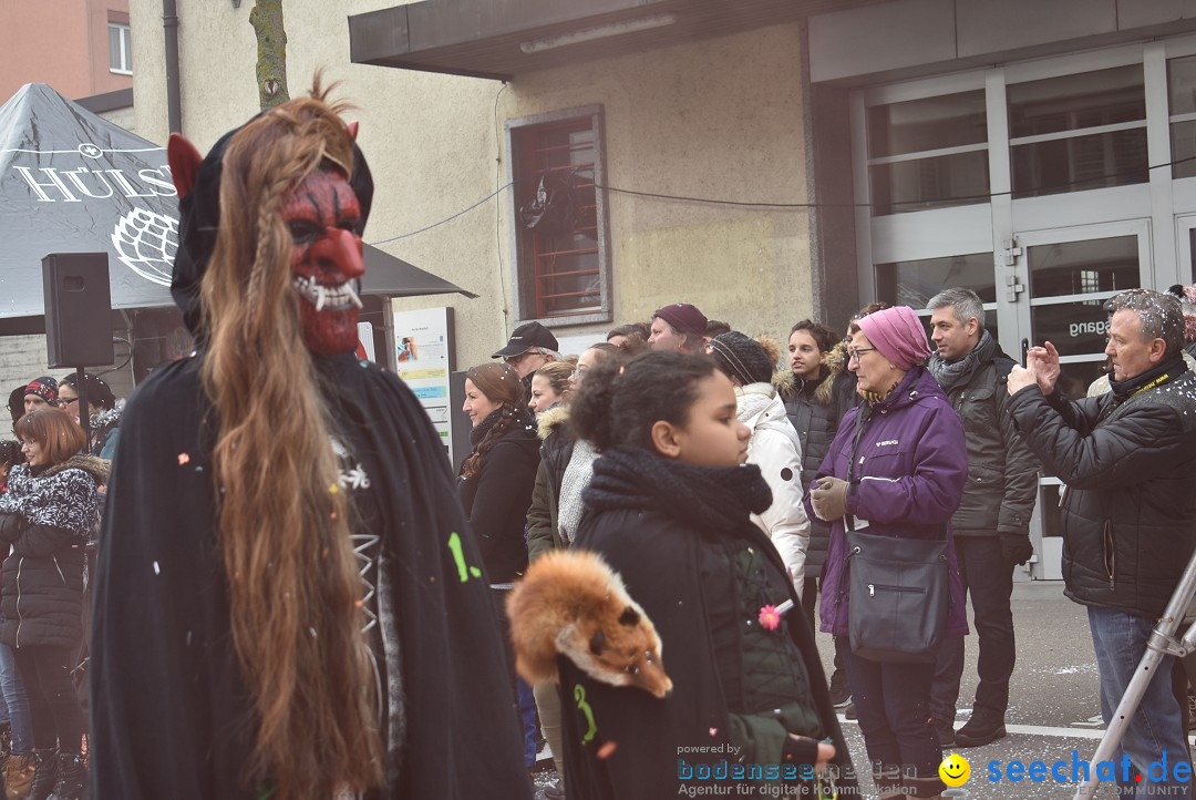 Fasnachtsumzug: Neuhausen - Schweiz, 18.02.2018