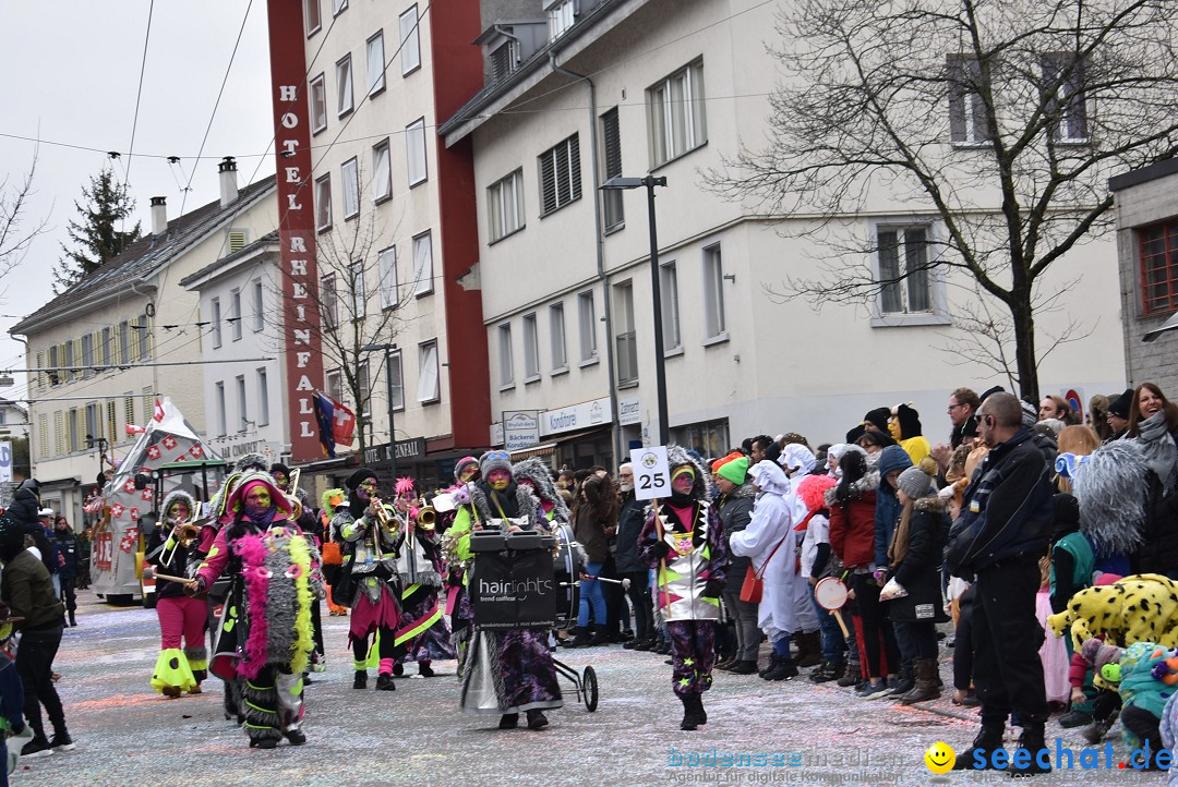 Fasnachtsumzug: Neuhausen - Schweiz, 18.02.2018