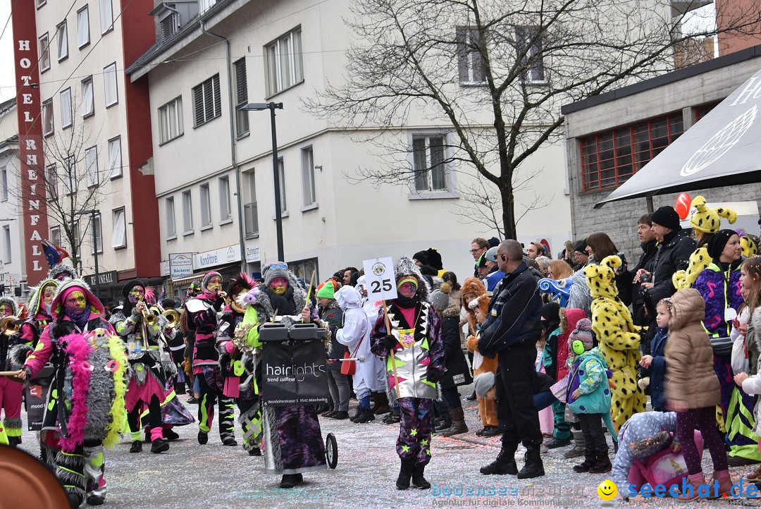 Fasnachtsumzug: Neuhausen - Schweiz, 18.02.2018