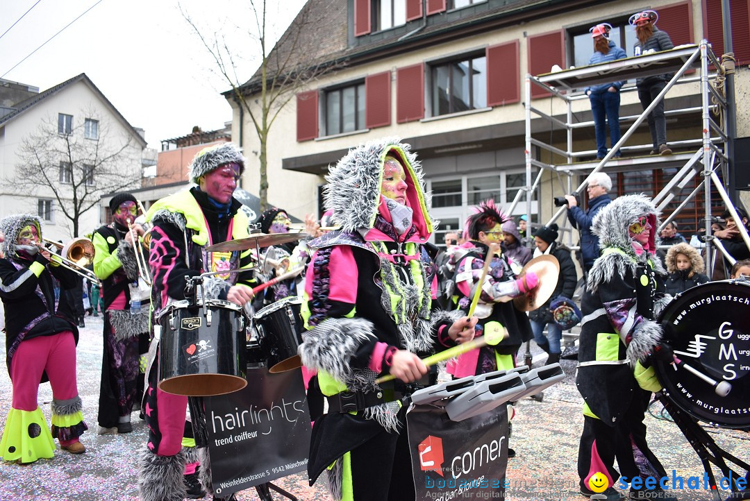 Fasnachtsumzug: Neuhausen - Schweiz, 18.02.2018