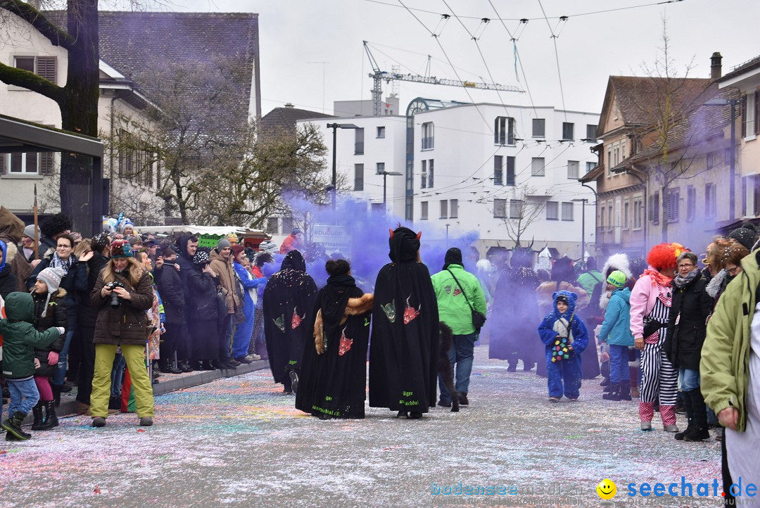 Fasnachtsumzug: Neuhausen - Schweiz, 18.02.2018