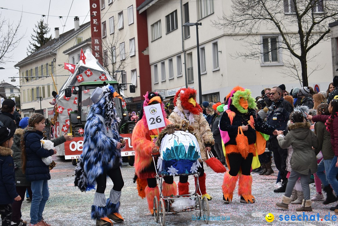 Fasnachtsumzug: Neuhausen - Schweiz, 18.02.2018