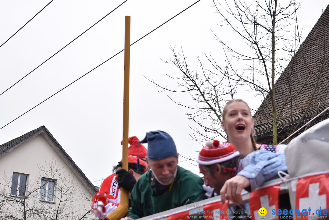 Fasnachtsumzug: Neuhausen - Schweiz, 18.02.2018