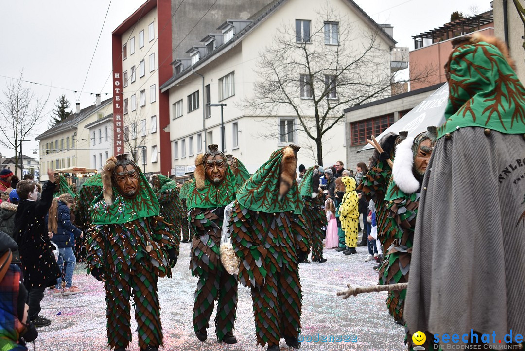 Fasnachtsumzug: Neuhausen - Schweiz, 18.02.2018