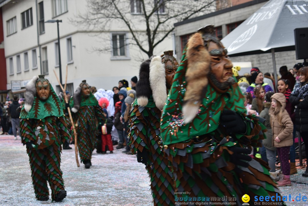 Fasnachtsumzug: Neuhausen - Schweiz, 18.02.2018