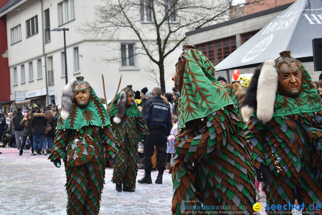 Fasnachtsumzug: Neuhausen - Schweiz, 18.02.2018