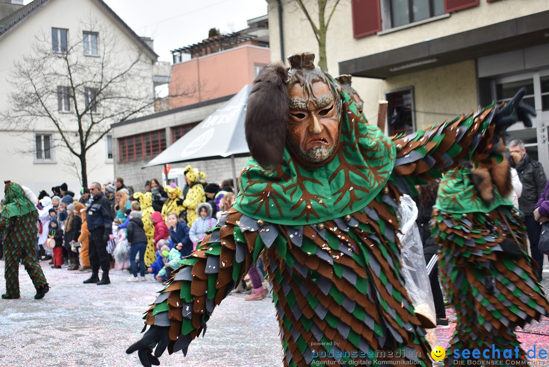 Fasnachtsumzug: Neuhausen - Schweiz, 18.02.2018