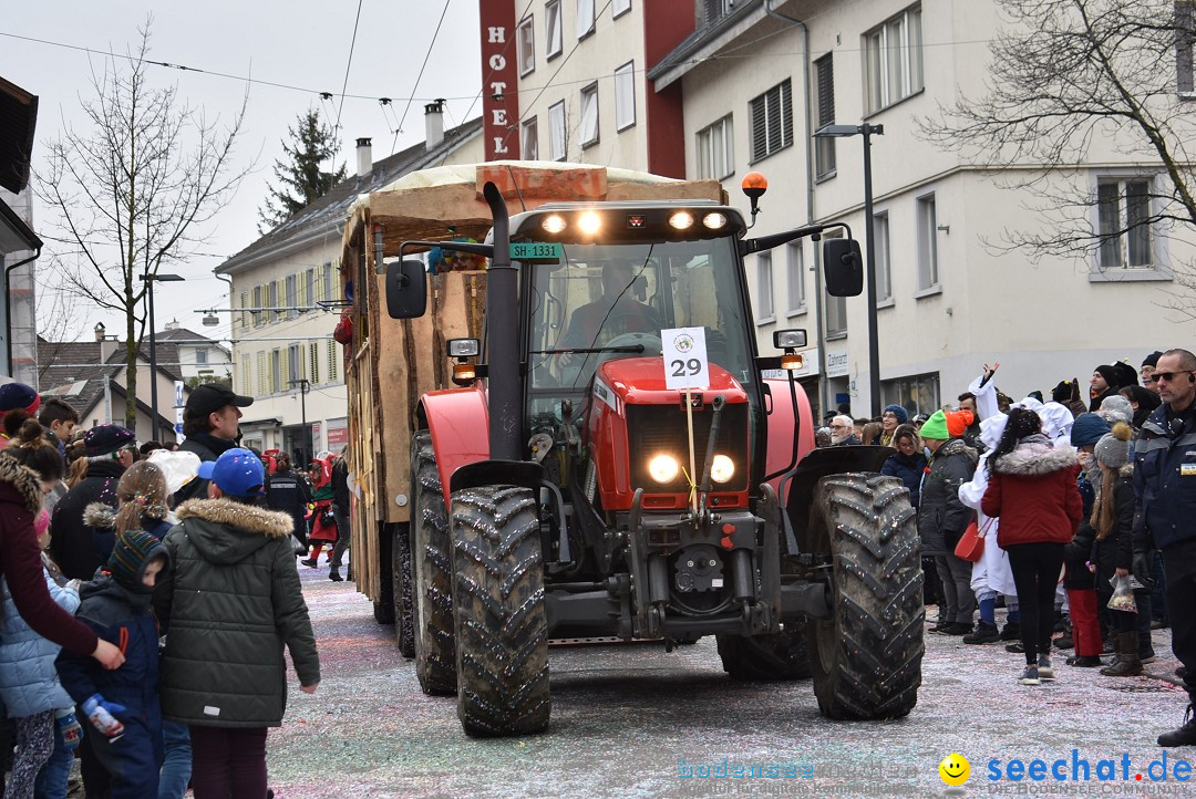 Fasnachtsumzug: Neuhausen - Schweiz, 18.02.2018