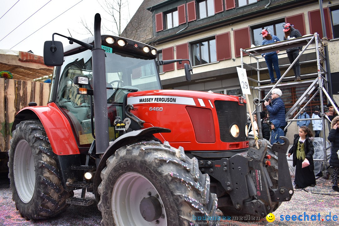 Fasnachtsumzug: Neuhausen - Schweiz, 18.02.2018