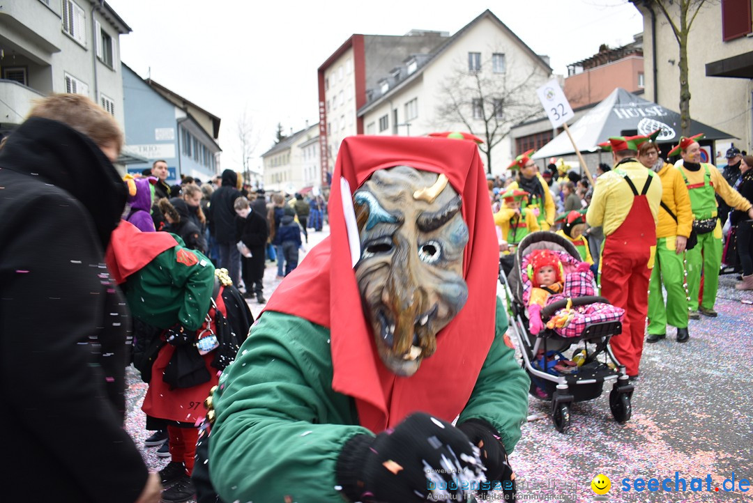 Fasnachtsumzug: Neuhausen - Schweiz, 18.02.2018