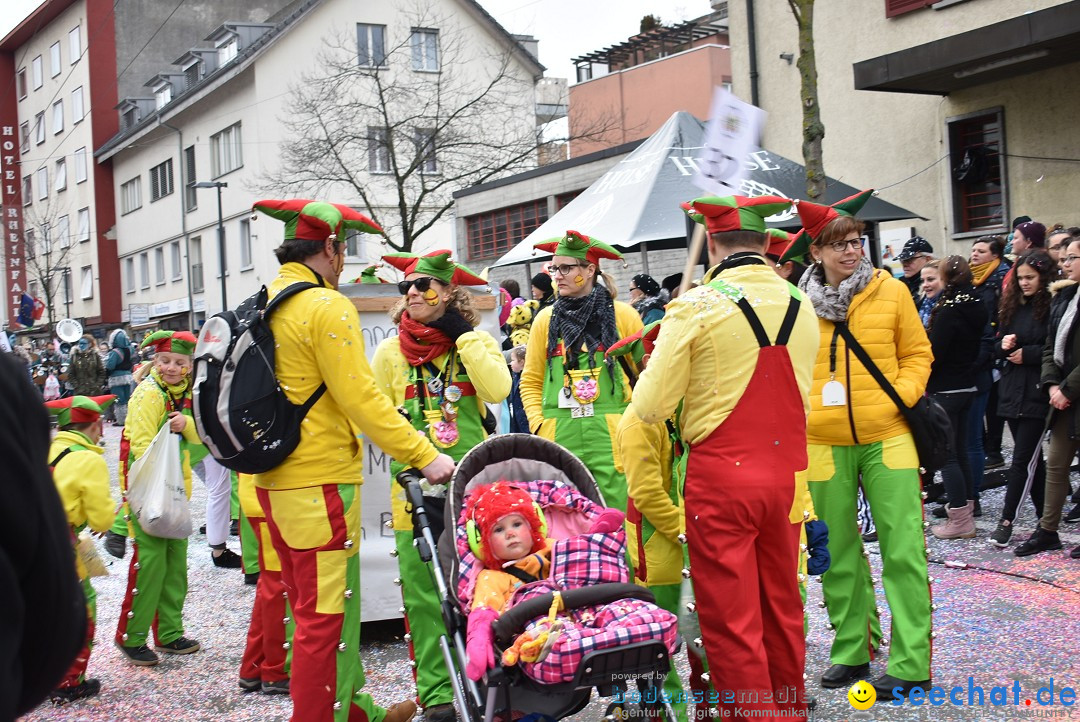 Fasnachtsumzug: Neuhausen - Schweiz, 18.02.2018