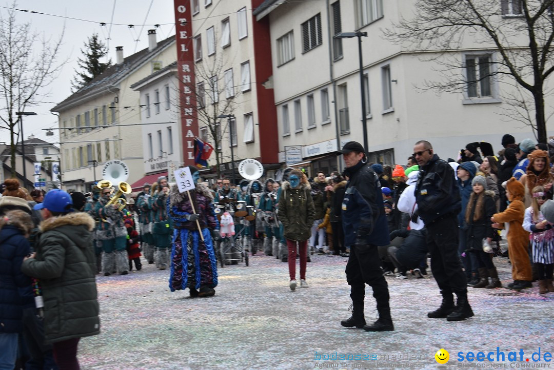 Fasnachtsumzug: Neuhausen - Schweiz, 18.02.2018