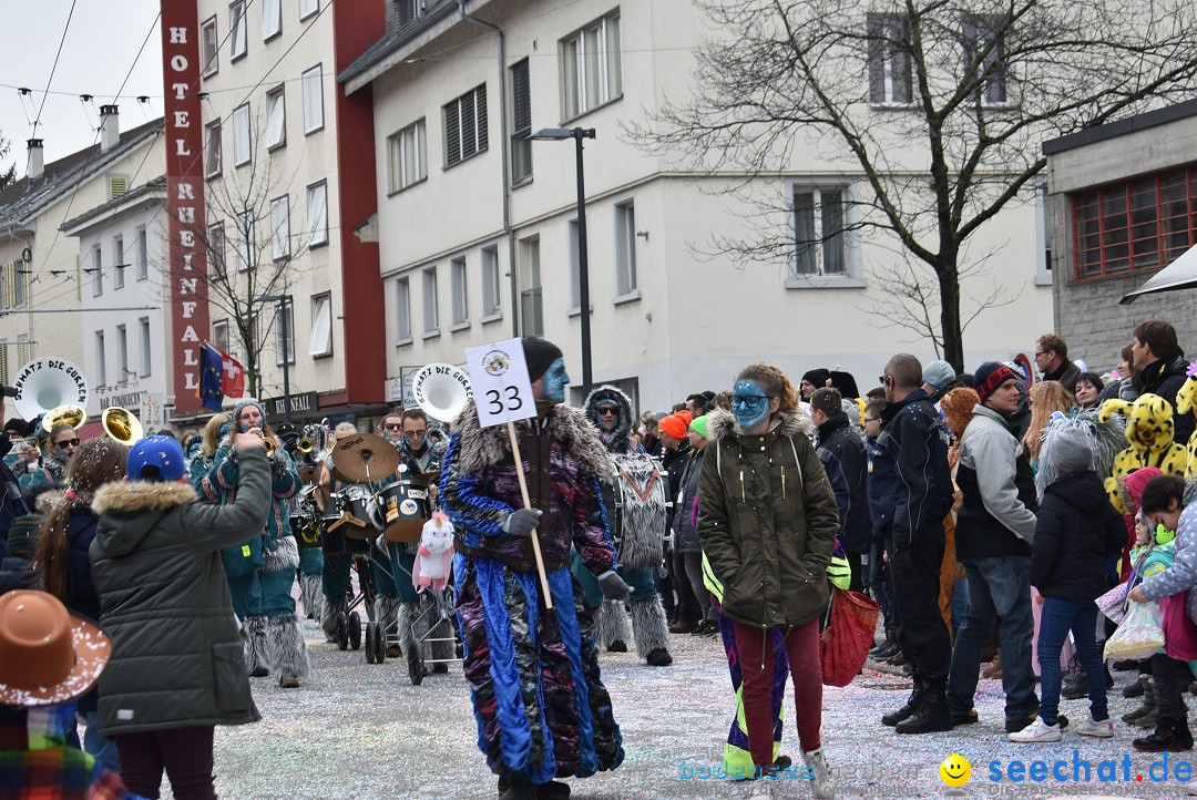 Fasnachtsumzug: Neuhausen - Schweiz, 18.02.2018