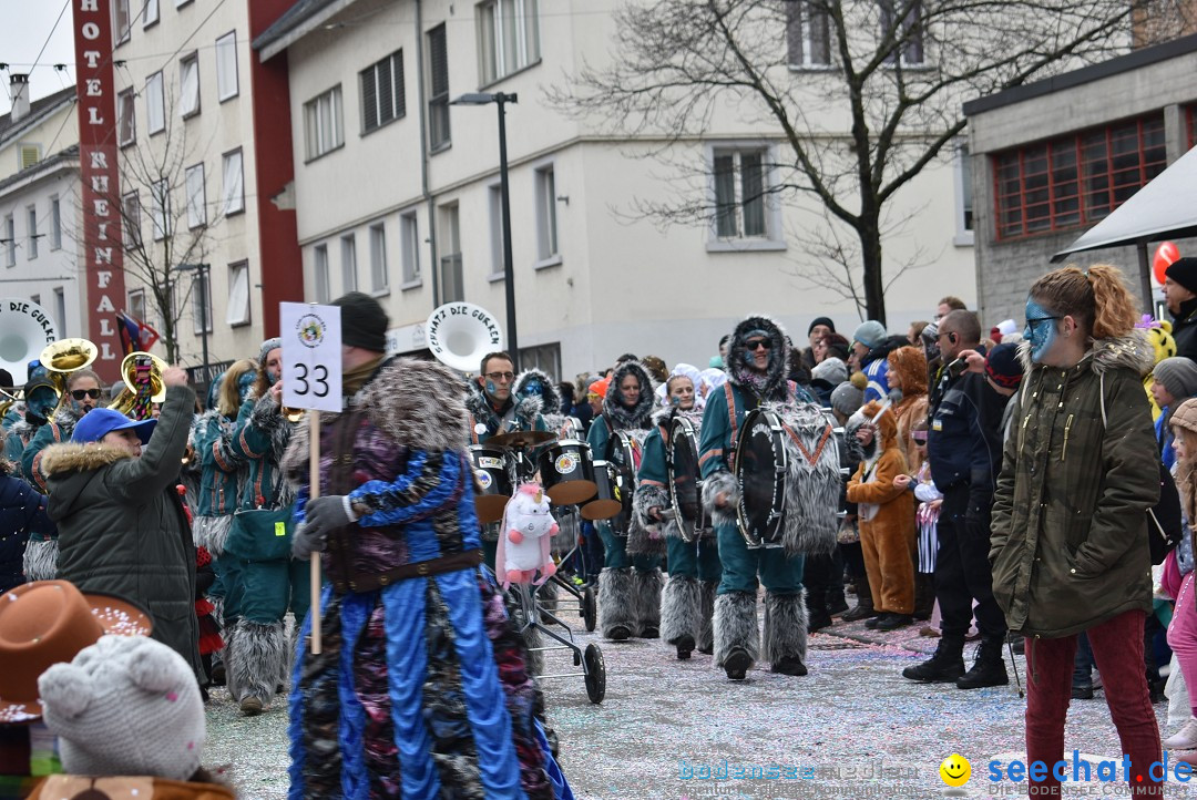 Fasnachtsumzug: Neuhausen - Schweiz, 18.02.2018