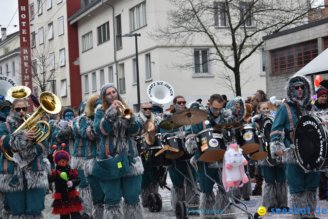 Fasnachtsumzug: Neuhausen - Schweiz, 18.02.2018