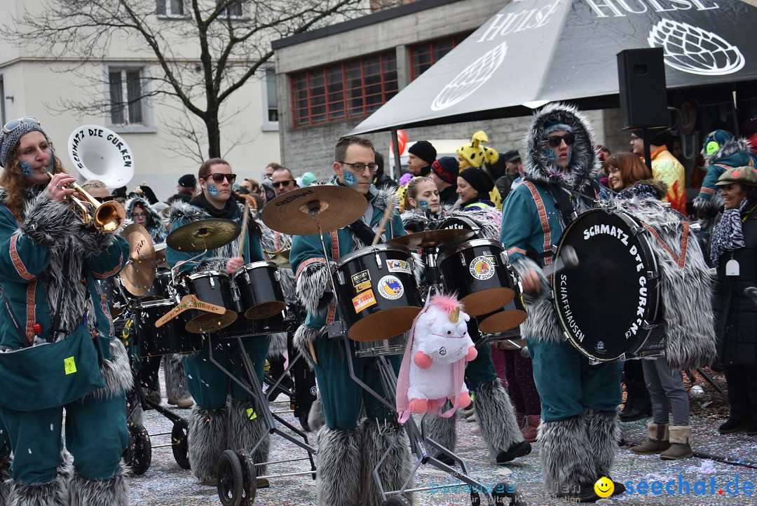 Fasnachtsumzug: Neuhausen - Schweiz, 18.02.2018