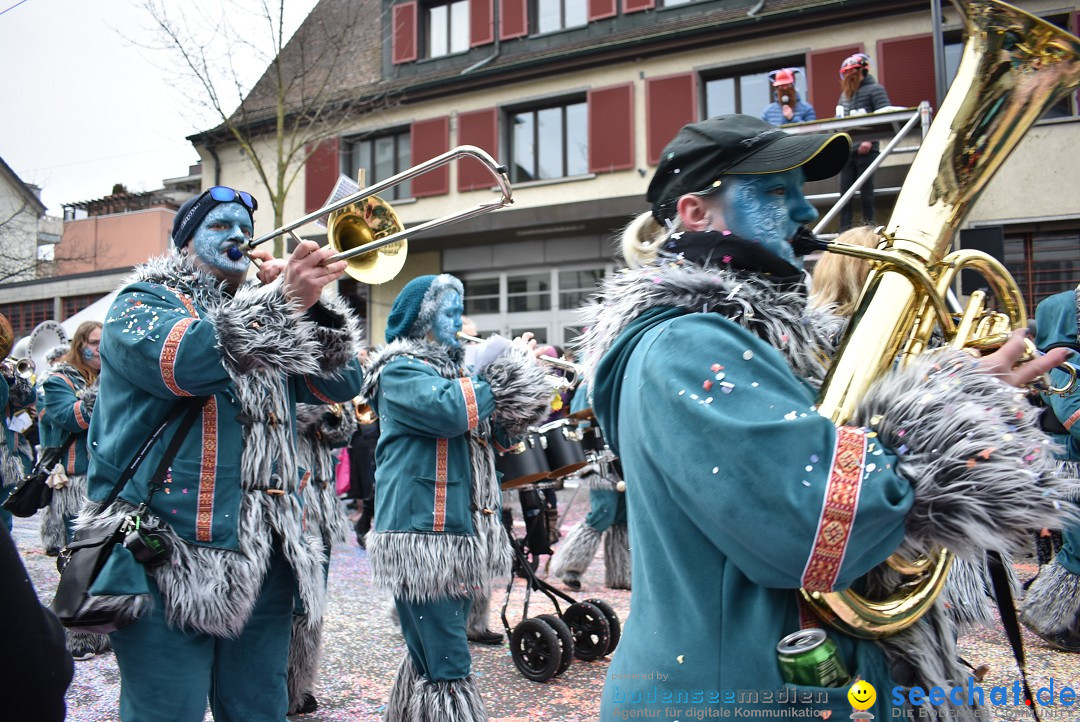 Fasnachtsumzug: Neuhausen - Schweiz, 18.02.2018