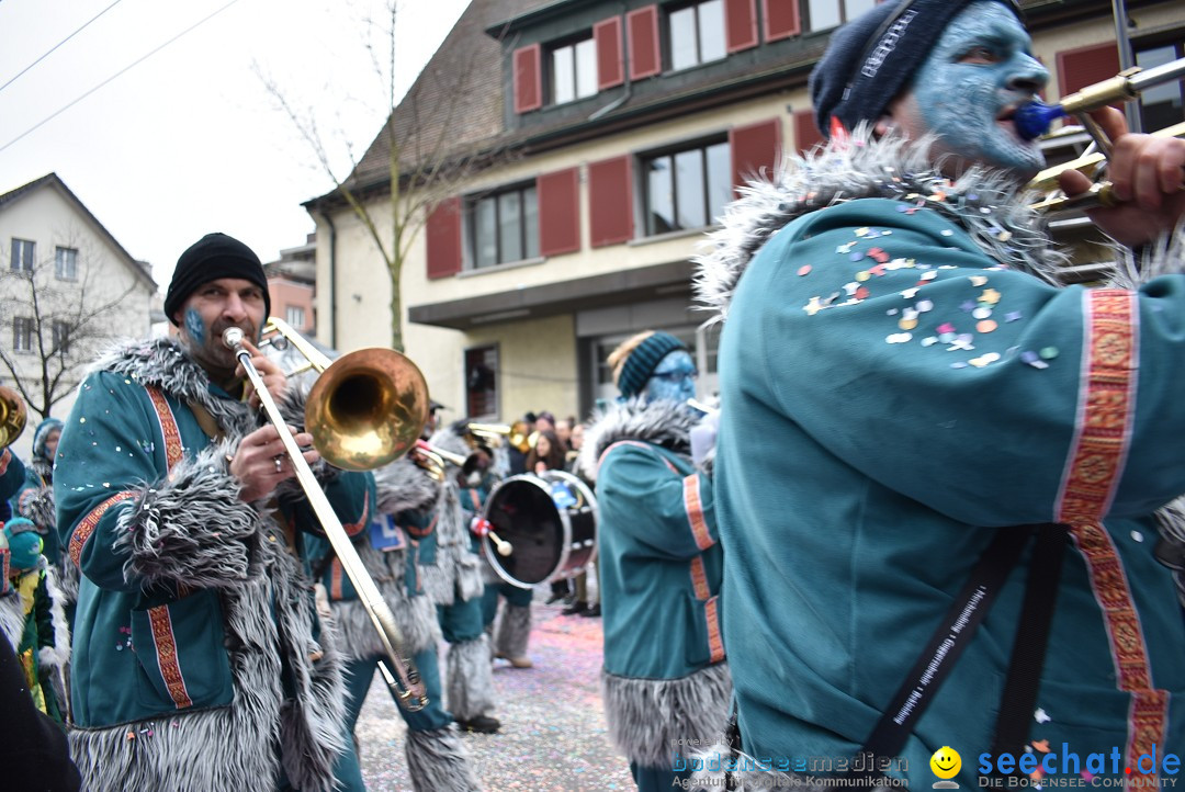 Fasnachtsumzug: Neuhausen - Schweiz, 18.02.2018