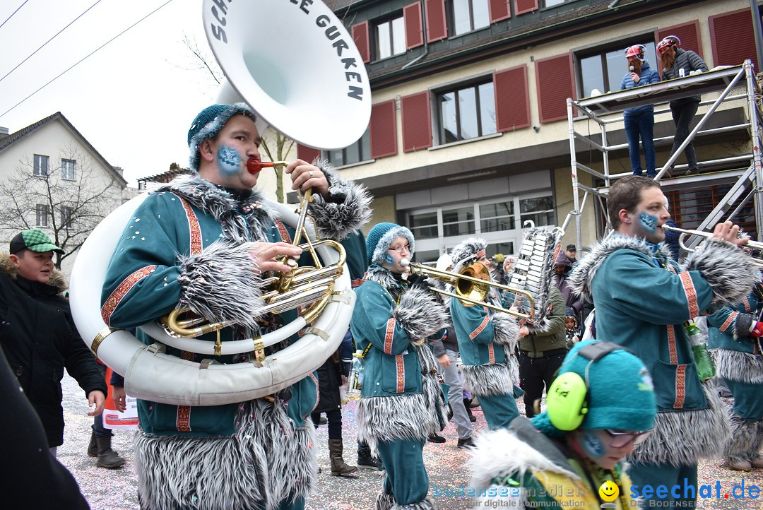 Fasnachtsumzug: Neuhausen - Schweiz, 18.02.2018