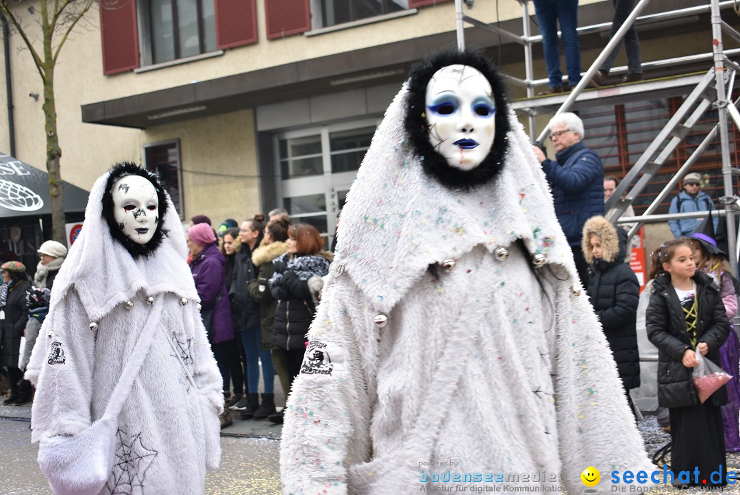 Fasnachtsumzug: Neuhausen - Schweiz, 18.02.2018