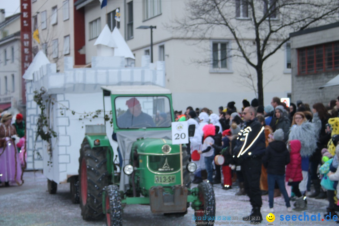 Fasnachtsumzug: Neuhausen - Schweiz, 18.02.2018