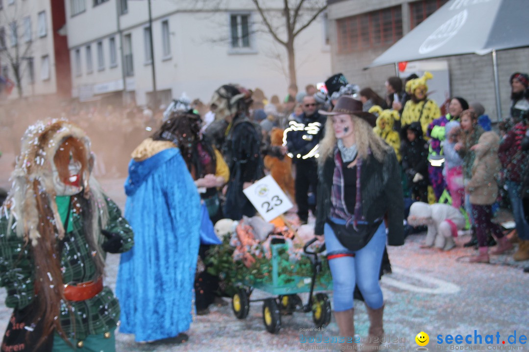 Fasnachtsumzug: Neuhausen - Schweiz, 18.02.2018